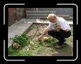 CIMG0061 * 2816 x 2112 * (3.0MB)