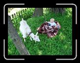 CIMG0391 * 2816 x 2112 * (3.01MB)
